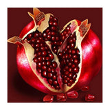 F&S Diamond Painting Store Pomegranate