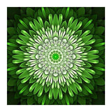 F&S Diamond Painting Store Green Mandala