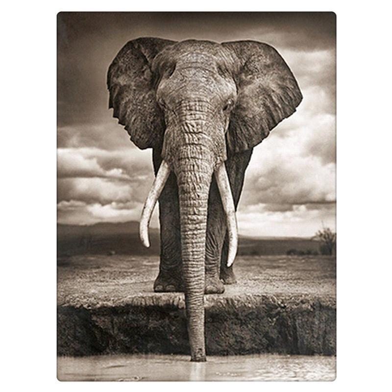 F&S Diamond Painting Store Drinking Elephant