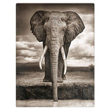F&S Diamond Painting Store Drinking Elephant