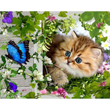 F&S Diamond Painting Store Cat and Butterfly in Nature