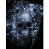 F&S Diamond Painting Store Smoky Skull