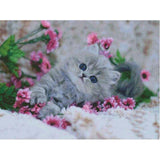 F&S Diamond Painting Store Cute Cat and Pink Flowers