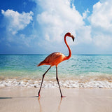 F&S Diamond Painting Store Lonely Flamingo