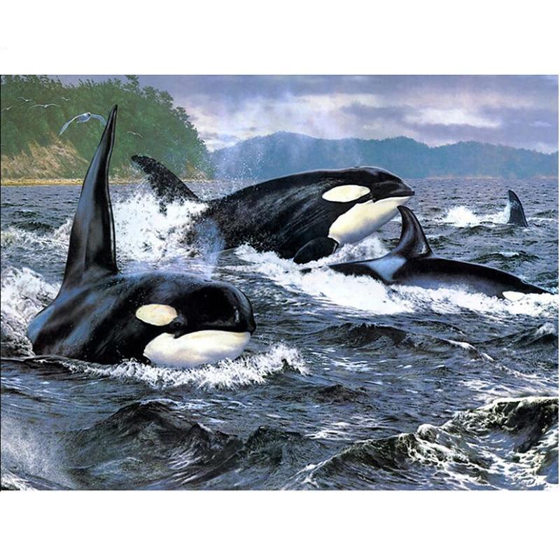 F&S Diamond Painting Store Orca's