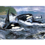 F&S Diamond Painting Store Orca's