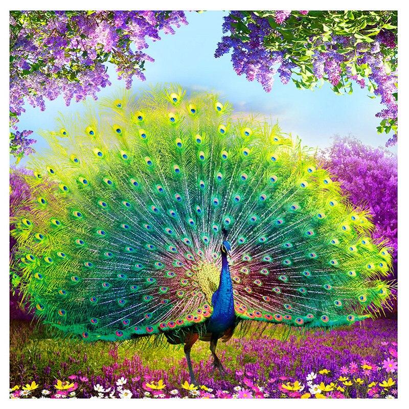 F&S Diamond Painting Store Peacock Wealth And Happiness