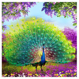 F&S Diamond Painting Store Peacock Wealth And Happiness