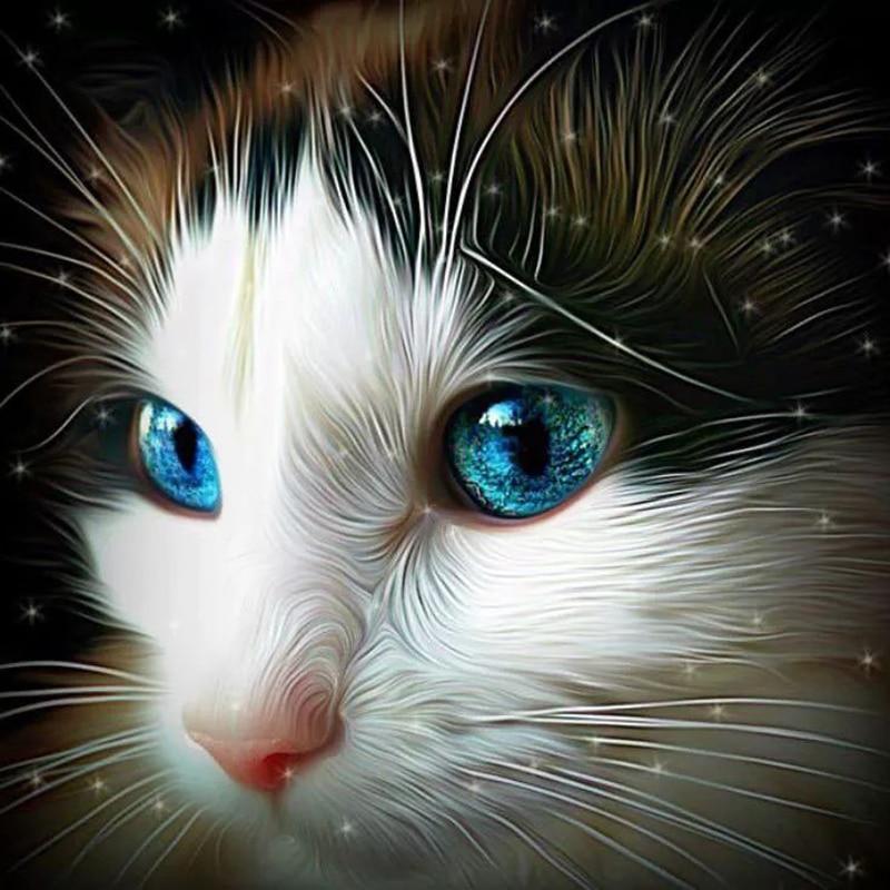F&S Diamond Painting Store Cats Portrait