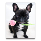 F&S Diamond Painting Store Puppy with Tulip