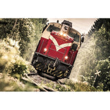 F&S Diamond Painting Store Train Front