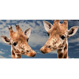 F&S Diamond Painting Store Giraffes Up Close