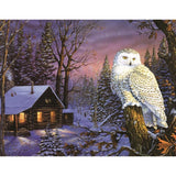 F&S Diamond Painting Store Owl in Landscape