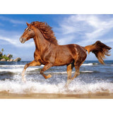 F&S Diamond Painting Store Horse Runs In Water