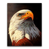 F&S Diamond Painting Store Eagle up close