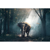 F&S Diamond Painting Store Elephant In The Jungle