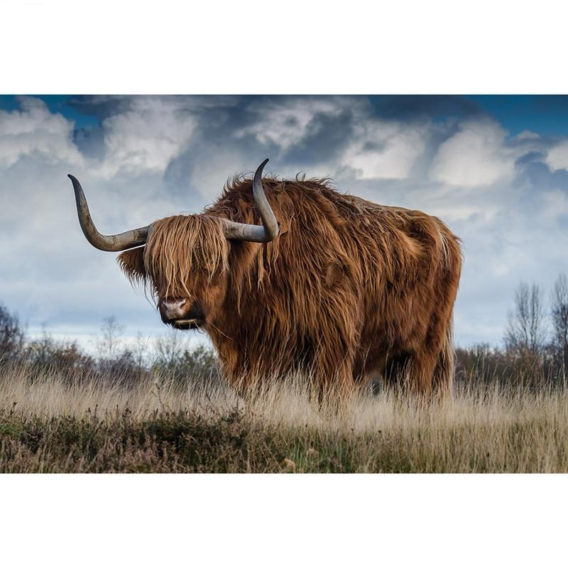 F&S Diamond Painting Store Cow with Horns