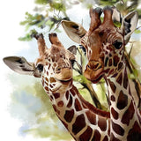 F&S Diamond Painting Store Two Giraffes