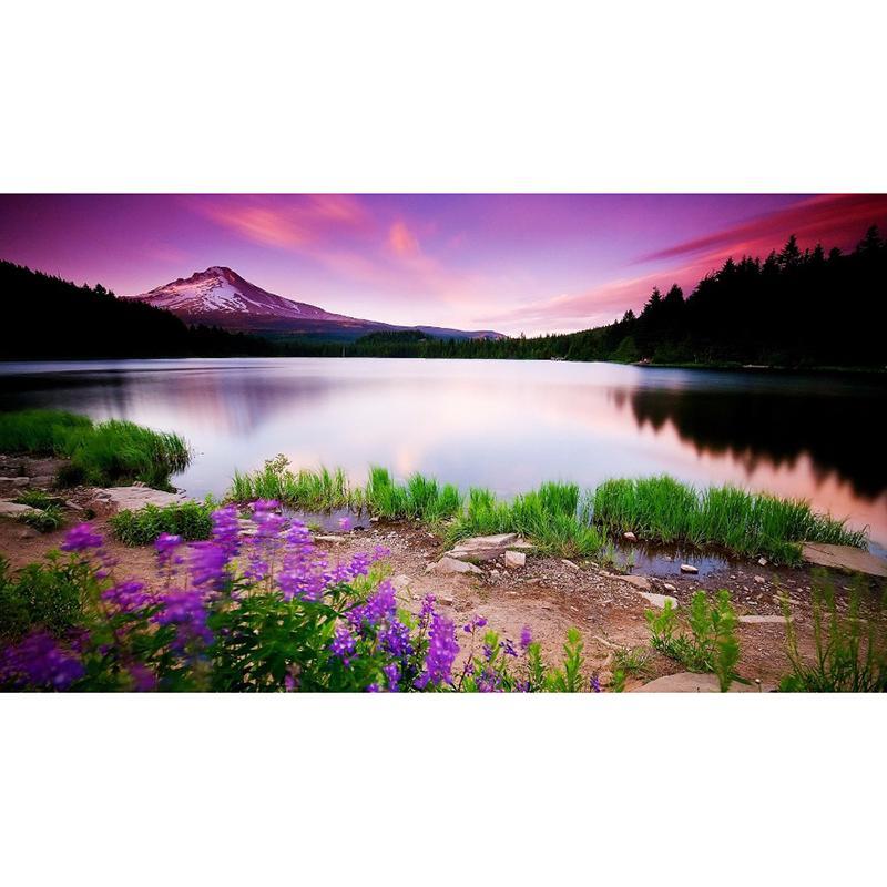 F&S Diamond Painting Store Purple Sky Landscape