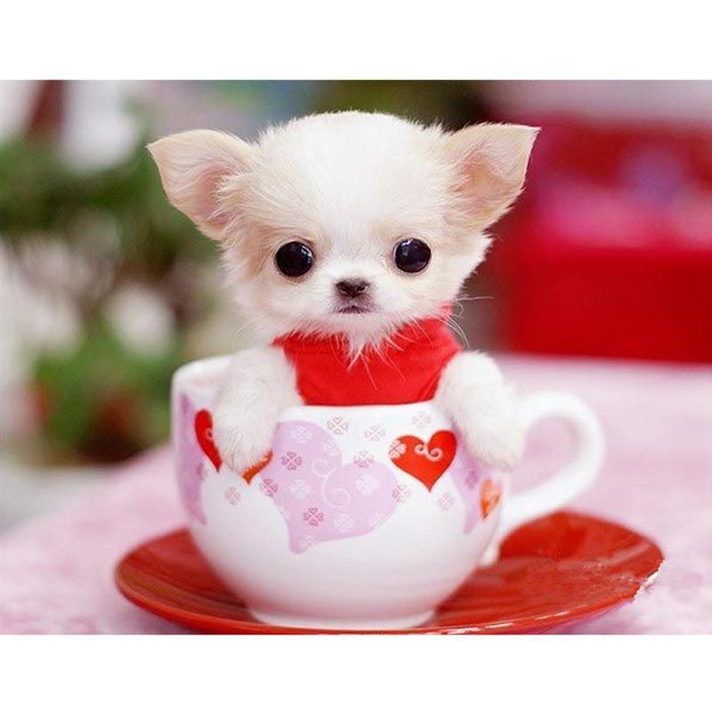 F&S Diamond Painting Store Cute Dog In The Cup