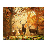 F&S Diamond Painting Store Beautiful Autumn Deer