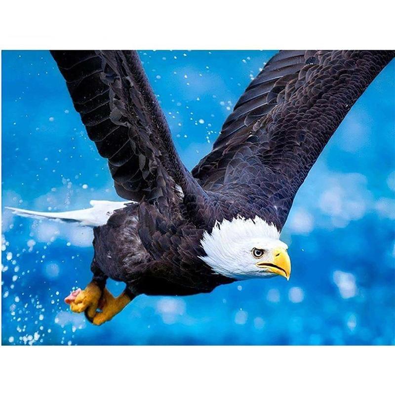 F&S Diamond Painting Store Eagle flies high