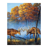F&S Diamond Painting Store Deer fight