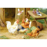 F&S Diamond Painting Store Chicken And Pigeons