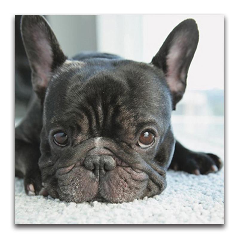 F&S Diamond Painting Store Small Black Dog