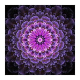 F&S Diamond Painting Store Paarse Mandala