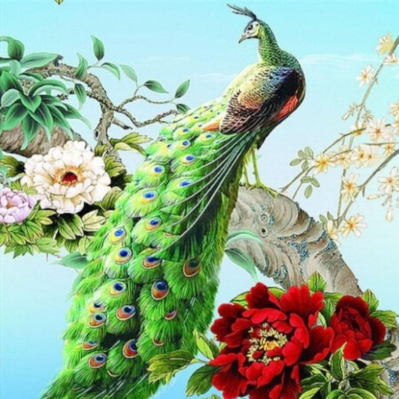F&S Diamond Painting Store Green Peacock