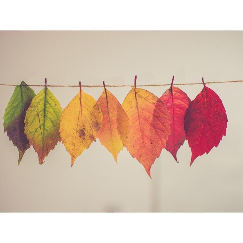 F&S Diamond Painting Store Colorful Leaves