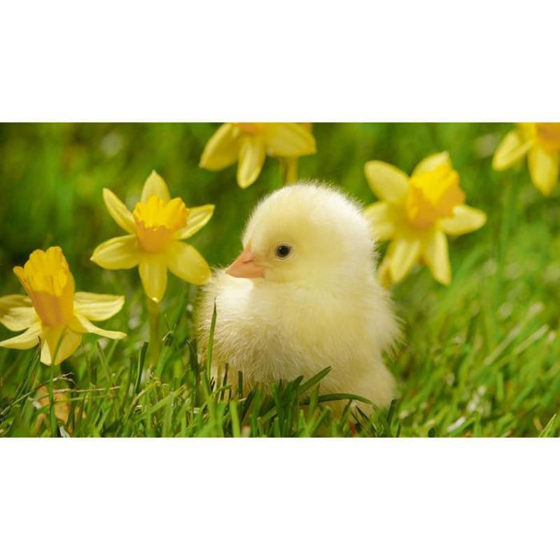 F&S Diamond Painting Store Cute Chick