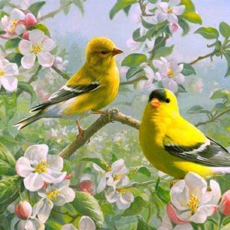 F&S Diamond Painting Store Yellow Birds with Flowers