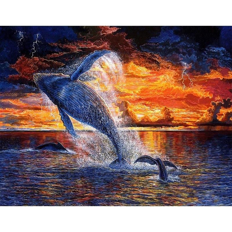 F&S Diamond Painting Store Beautiful Sunset Whale