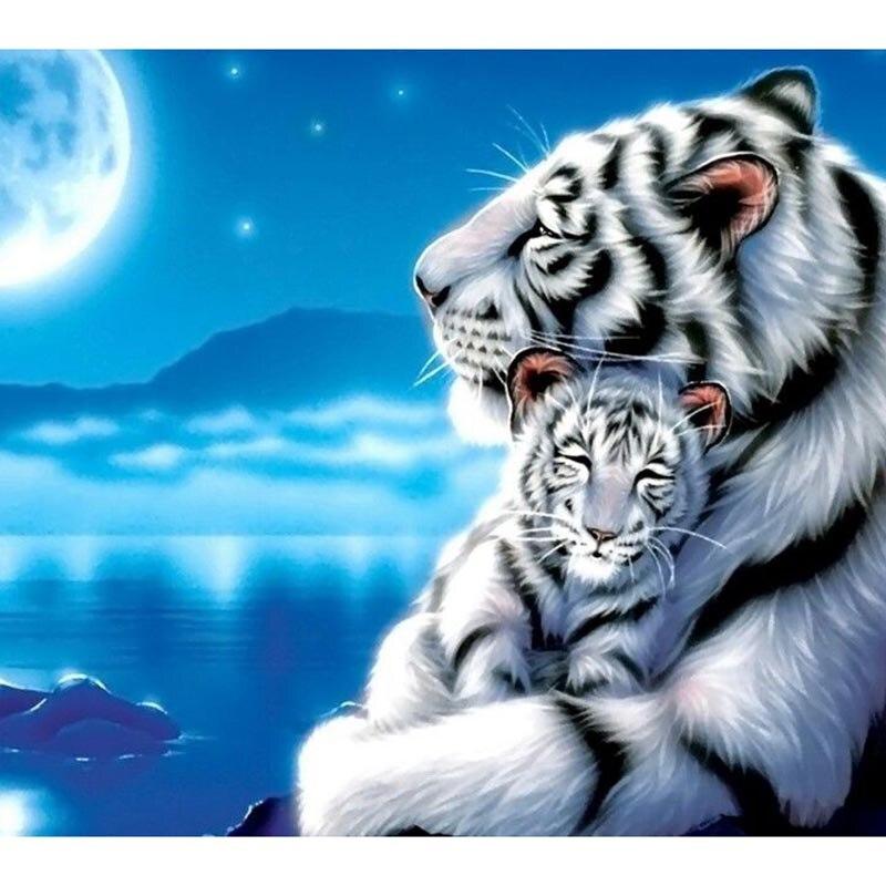 F&S Diamond Painting Store Tiger watches in the night