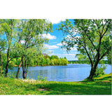 F&S Diamond Painting Store Green Leaves Tree And Water