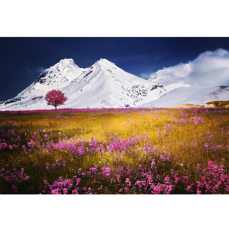 F&S Diamond Painting Store Iceberg And Flowers