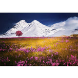 F&S Diamond Painting Store Iceberg And Flowers