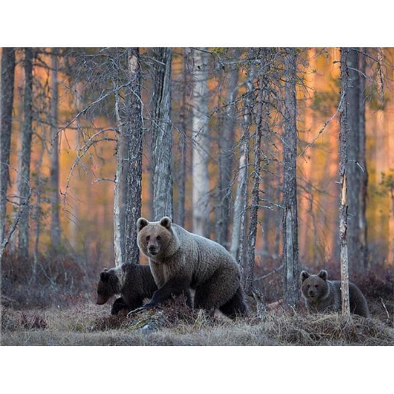 F&S Diamond Painting Store Bears On The Walk