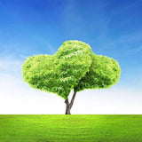 F&S Diamond Painting Store Green Love Tree