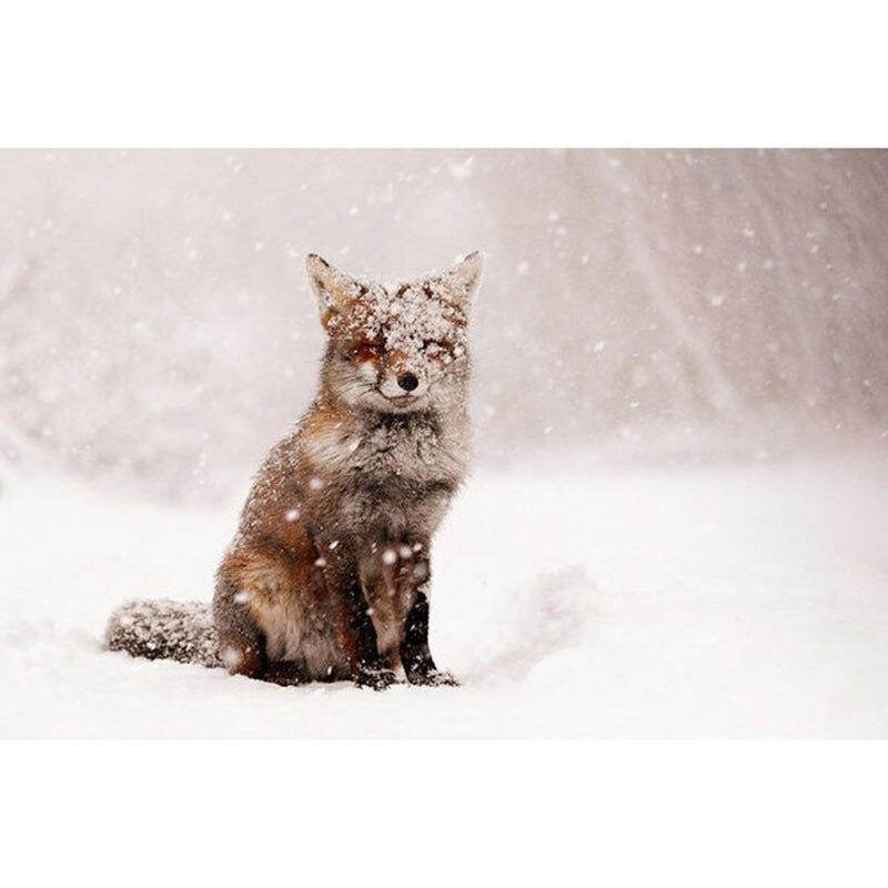 F&S Diamond Painting Store Snow fox