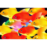 F&S Diamond Painting Store Colorful Fish