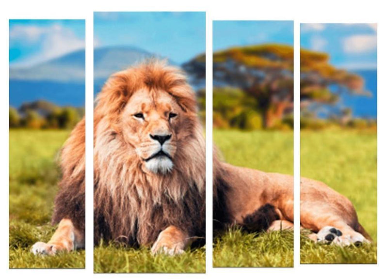 F&S Diamond Painting Store 4 Li¨¨ge Lion