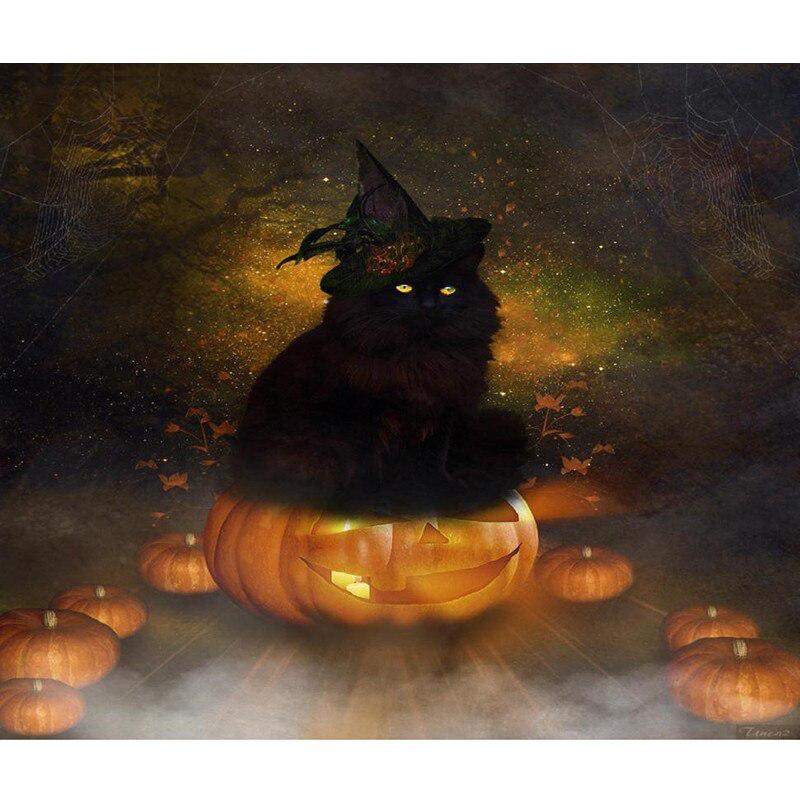 F&S Diamond Painting Store Halloween Black Cat Pumpkin