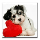 F&S Diamond Painting Store Love Puppy
