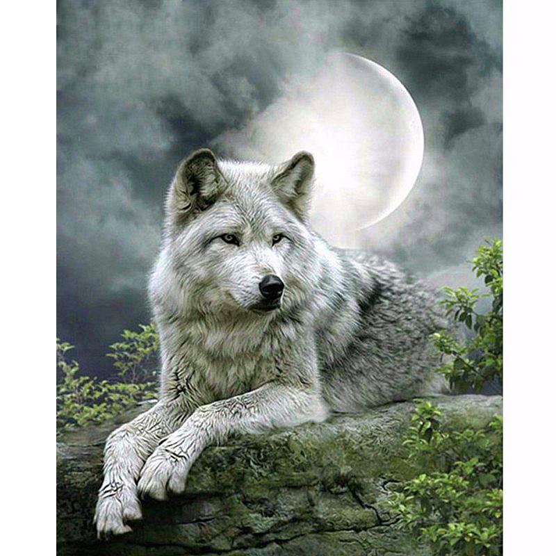 F&S Diamond Painting Store Moon Wolf