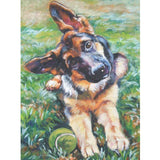 F&S Diamond Painting Store Military Dog