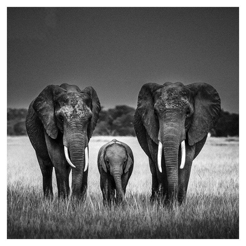 F&S Diamond Painting Store Elephants Family