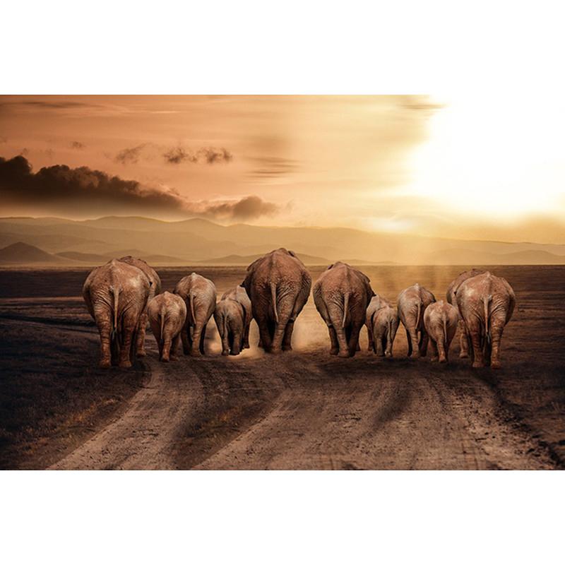 F&S Diamond Painting Store Elephants Group
